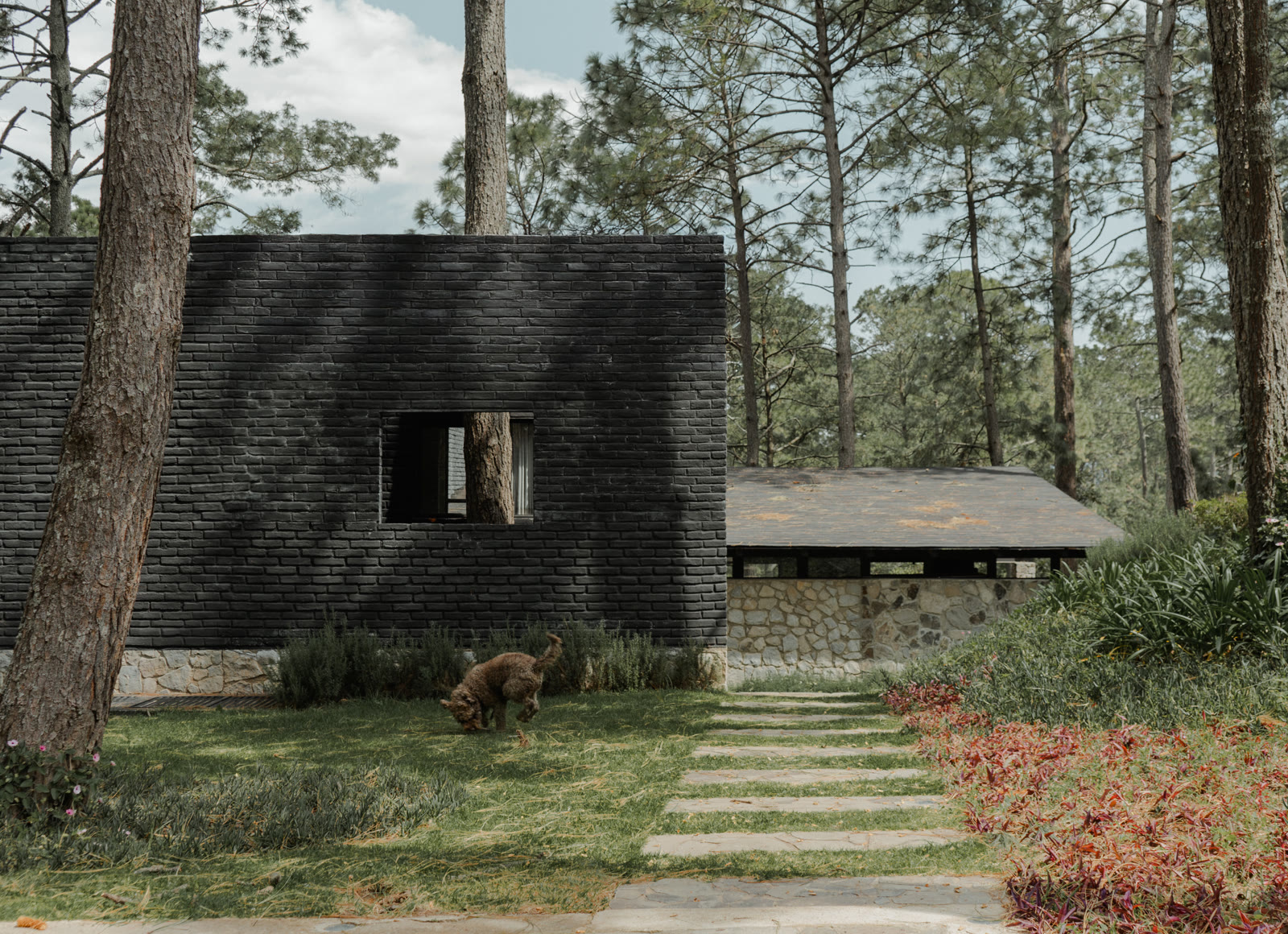 Casa Emilia de Herchell Arquitectos integrada al bosque de Tapalpa